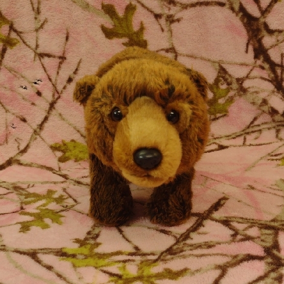 2/$20 Webkinz Signature Endangered Brown Bear - Picture 1 of 6